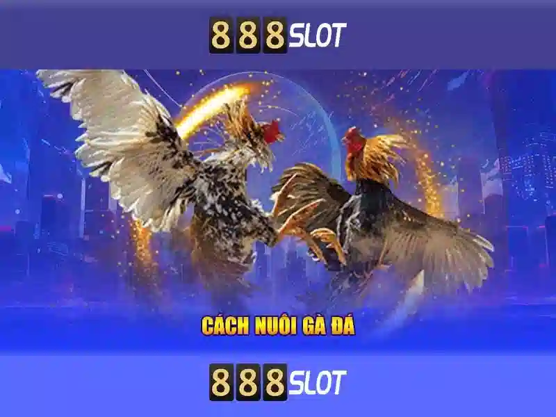 888slot - Đánh giá nền tảng trò chơi trực tuyến