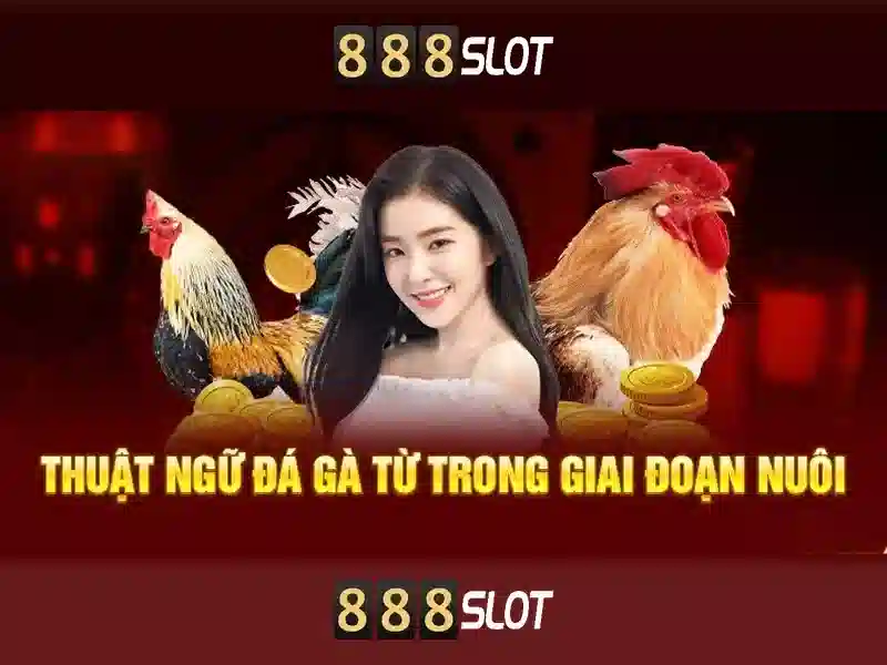 Slot dragon 888 – Trải nghiệm đỉnh cao và ưu điểm nổi bật