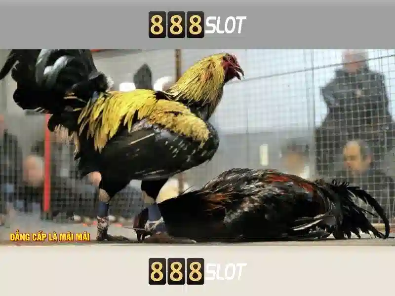 Cac san pham va dich vu cot loi cua download 888slot