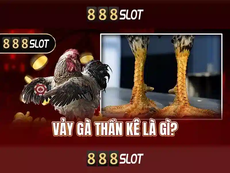 Khuyến mãi và thanh toán