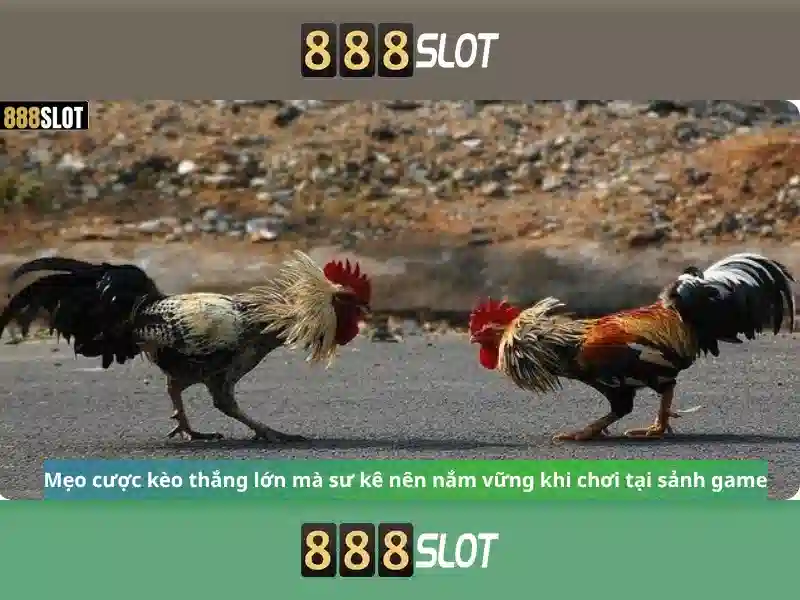 888slot - Đánh giá và trải nghiệm người chơi