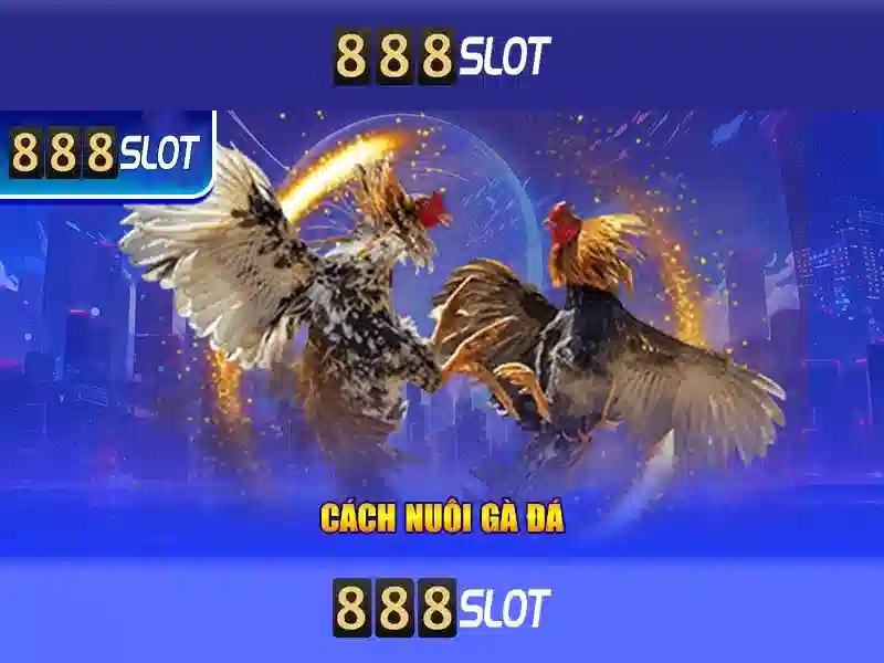 888slot – Nền tảng casino trực tuyến uy tín