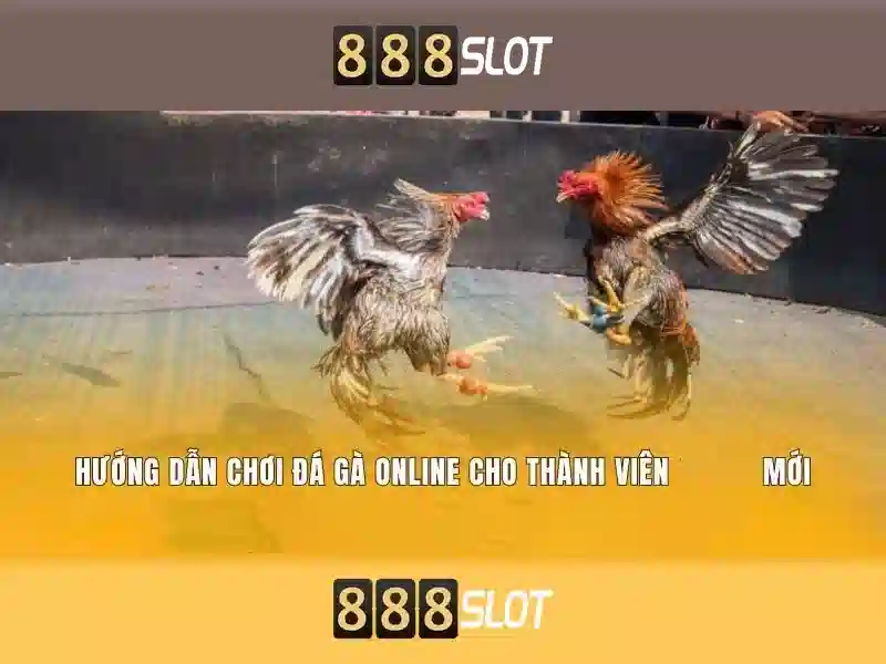 Kết luận về 888slot