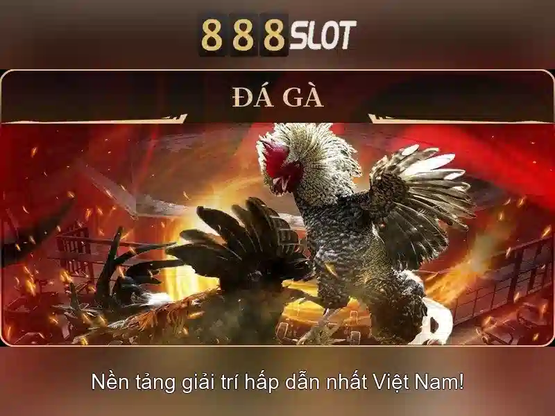 An toàn và thanh toán
