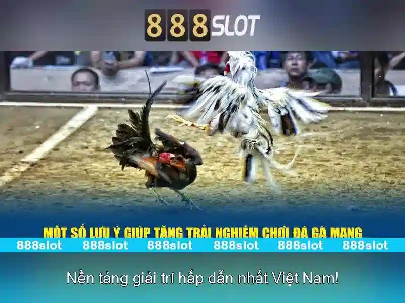 Giới thiệu về 888slot