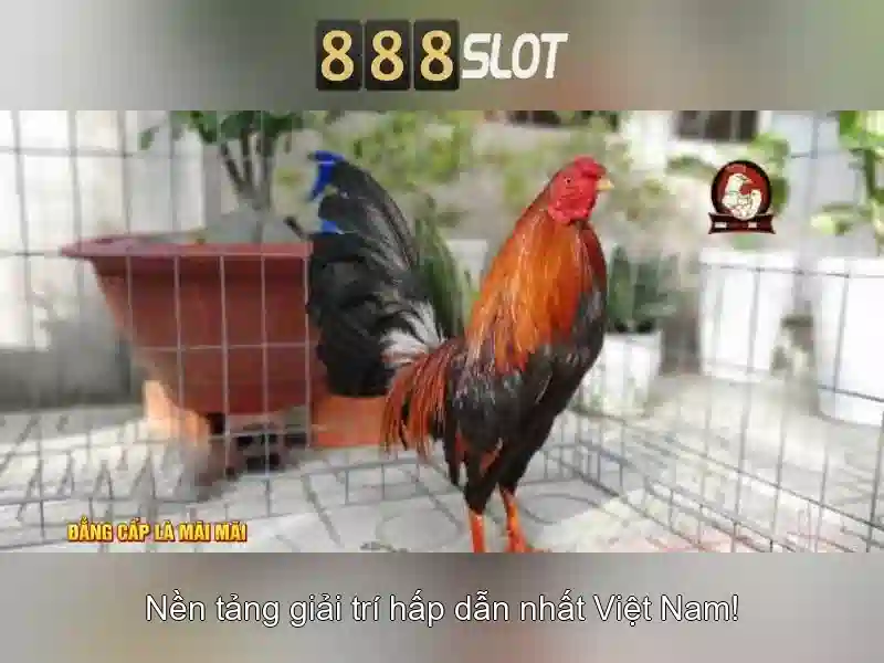 888slot: Trang web slot trực tuyến hàng đầu