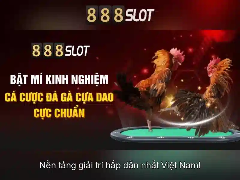 Giao diện và trải nghiệm người dùng