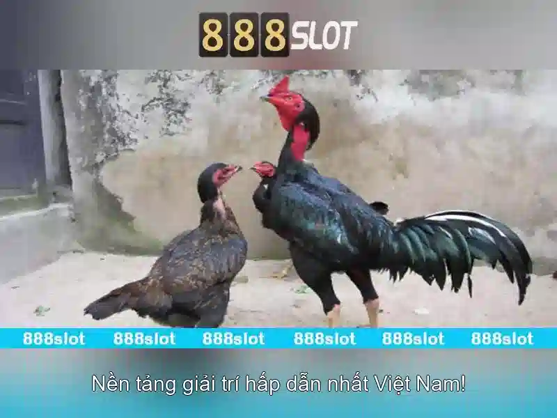 Quyền lợi người chơi và bảo mật\n\n<h>Hỗ trợ khách hàng và cách tham gia</h>\n<li style=