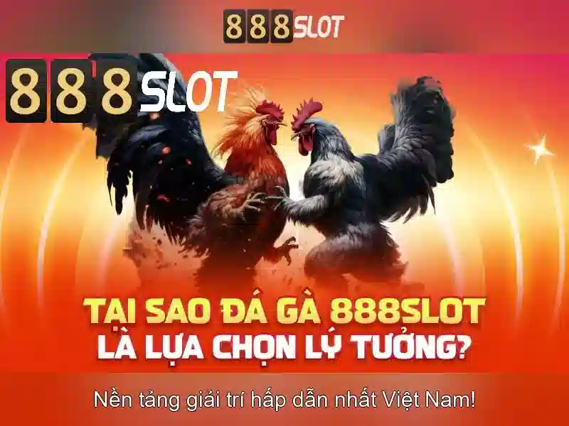 Các chương trình khuyến mãi