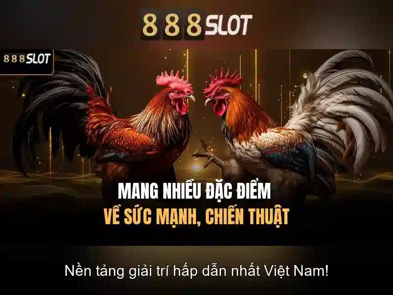 888slot - Trang web casino truc tuyen uy tin