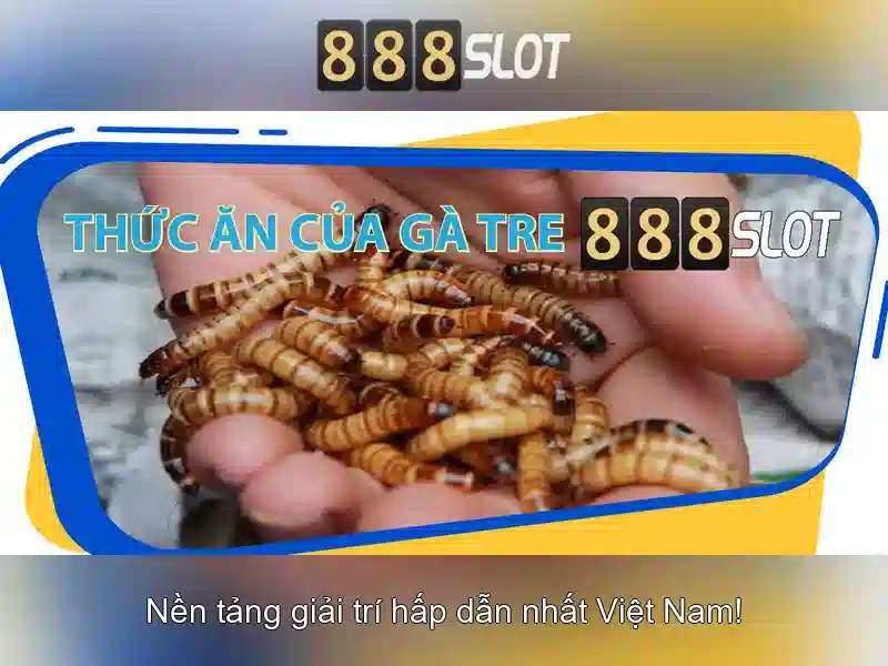 888slot: Nền tảng slot trực tuyến đáng tin cậy và giải trí