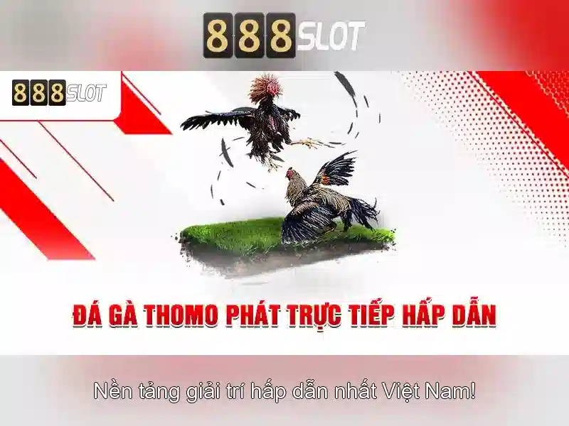 Giới thiệu về 888slot